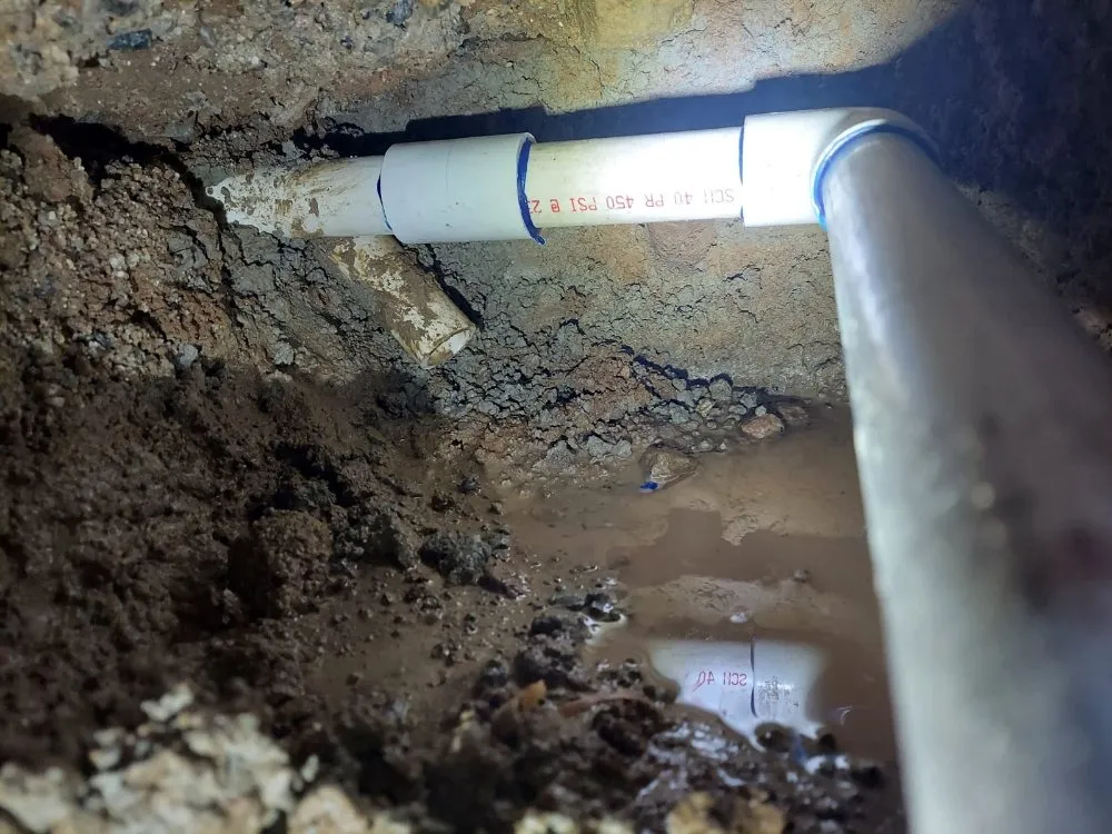 Reliable garden landscaping for residential properties across Santa Clarita, CA - Francisco Garcia Landscaping and Tree Service