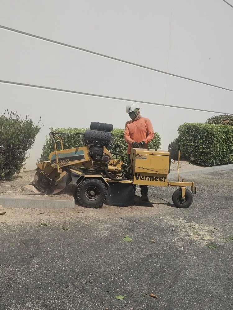 Expert landscape design near you in Santa Clarita, CA by Francisco Garcia Landscaping and Tree Service