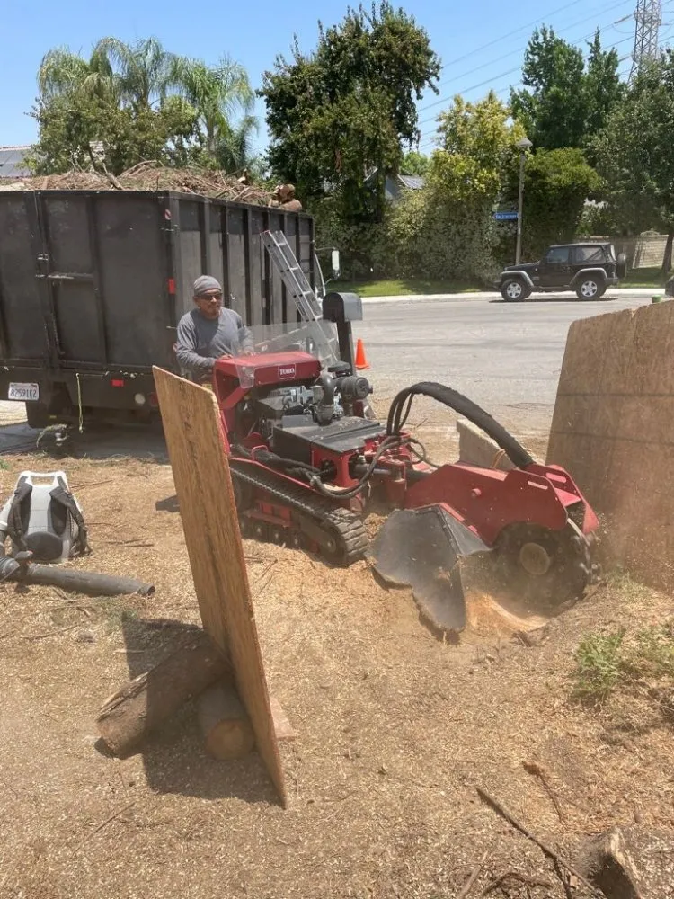 Affordable yard cleanup service experts serving Santa Clarita, CA - Francisco Garcia Landscaping and Tree Service