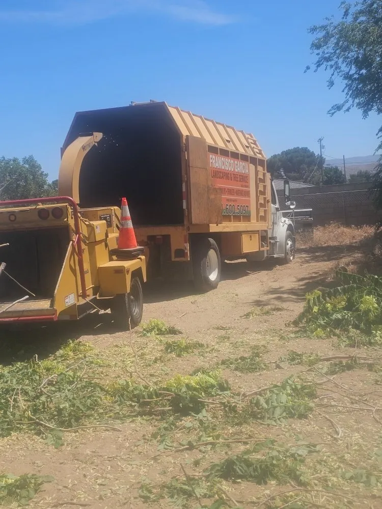 Affordable landscape design in Santa Clarita, CA by Francisco Garcia Landscaping and Tree Service