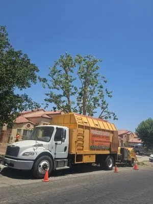 Francisco Garcia Landscaping and Tree Service