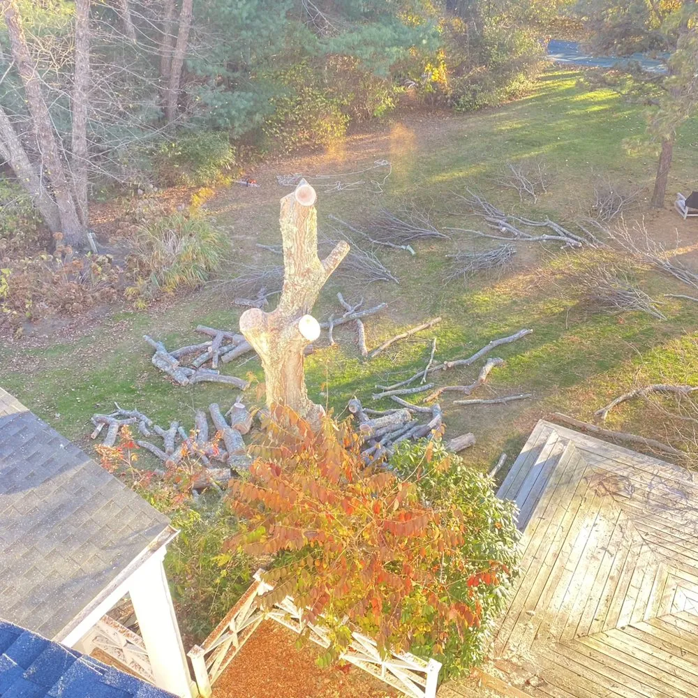 Top-rated residential landscaping experts serving Flanders, NY - Francisco Gardening