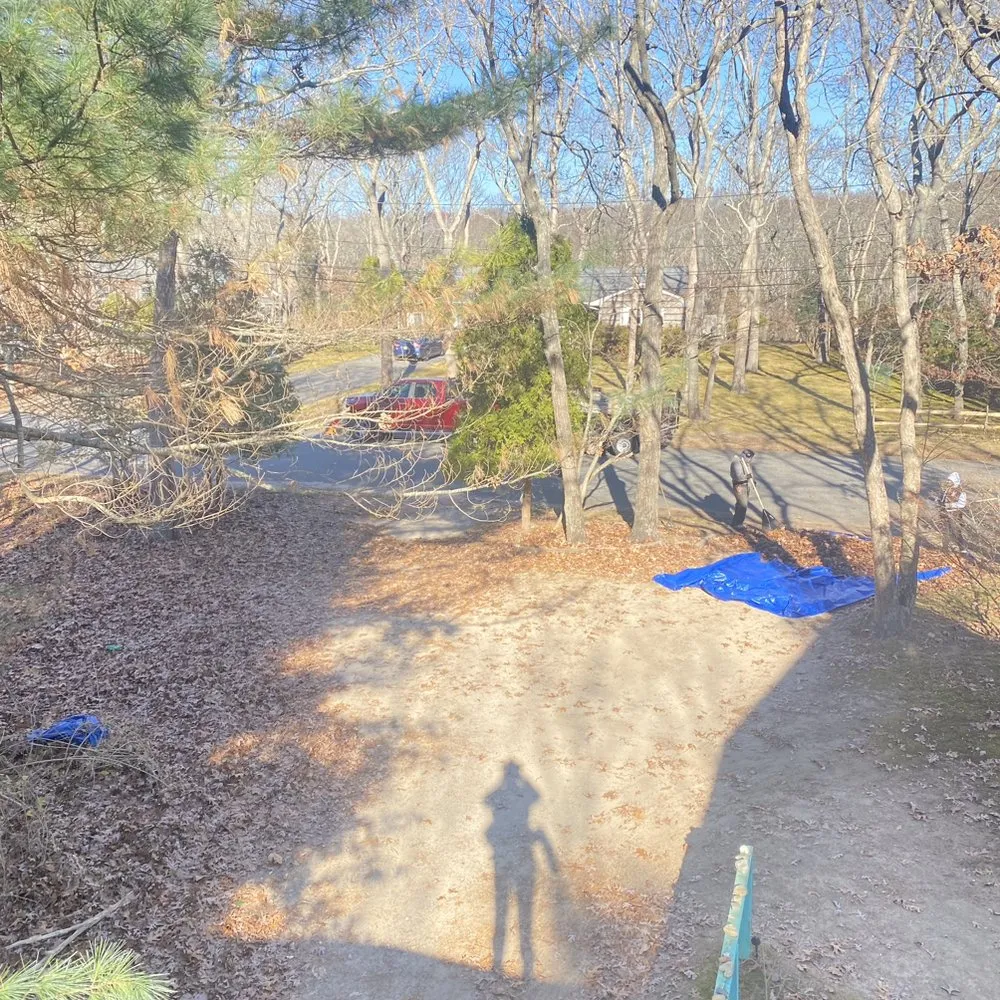 Trusted landscape design for beautiful yards in Flanders, NY by Francisco Gardening