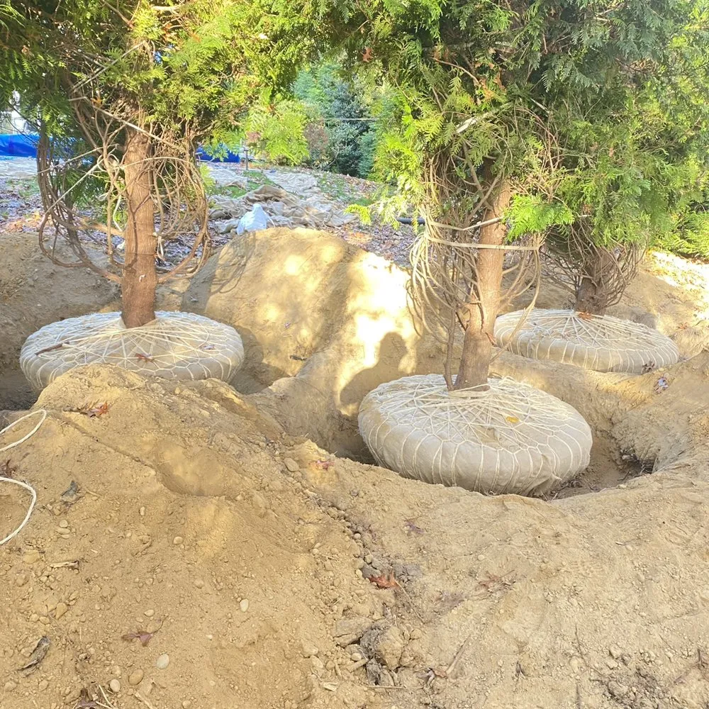 Expert lawn care service in Flanders, NY by Francisco Gardening