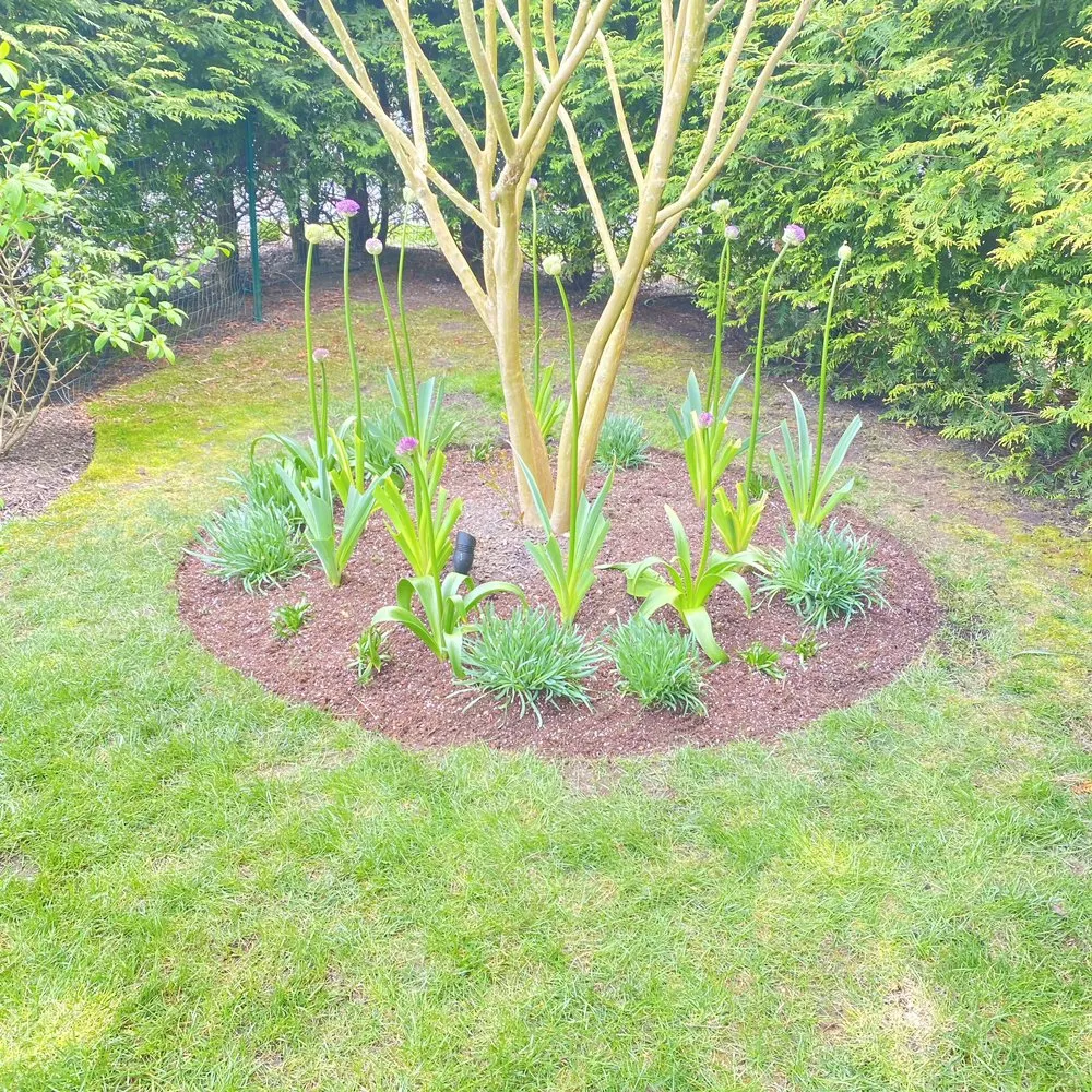 Custom residential landscaping in Flanders, NY by Francisco Gardening