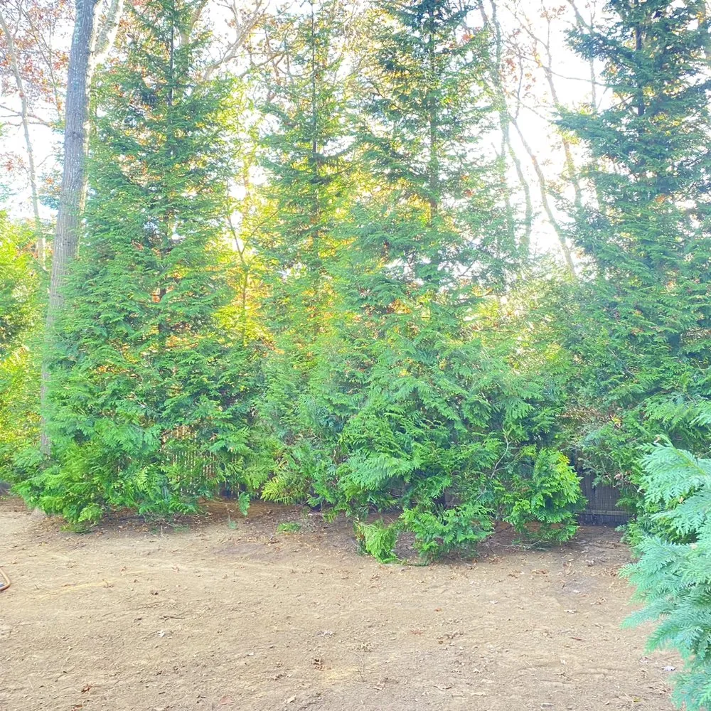 Custom landscape design near you across Flanders, NY - Francisco Gardening