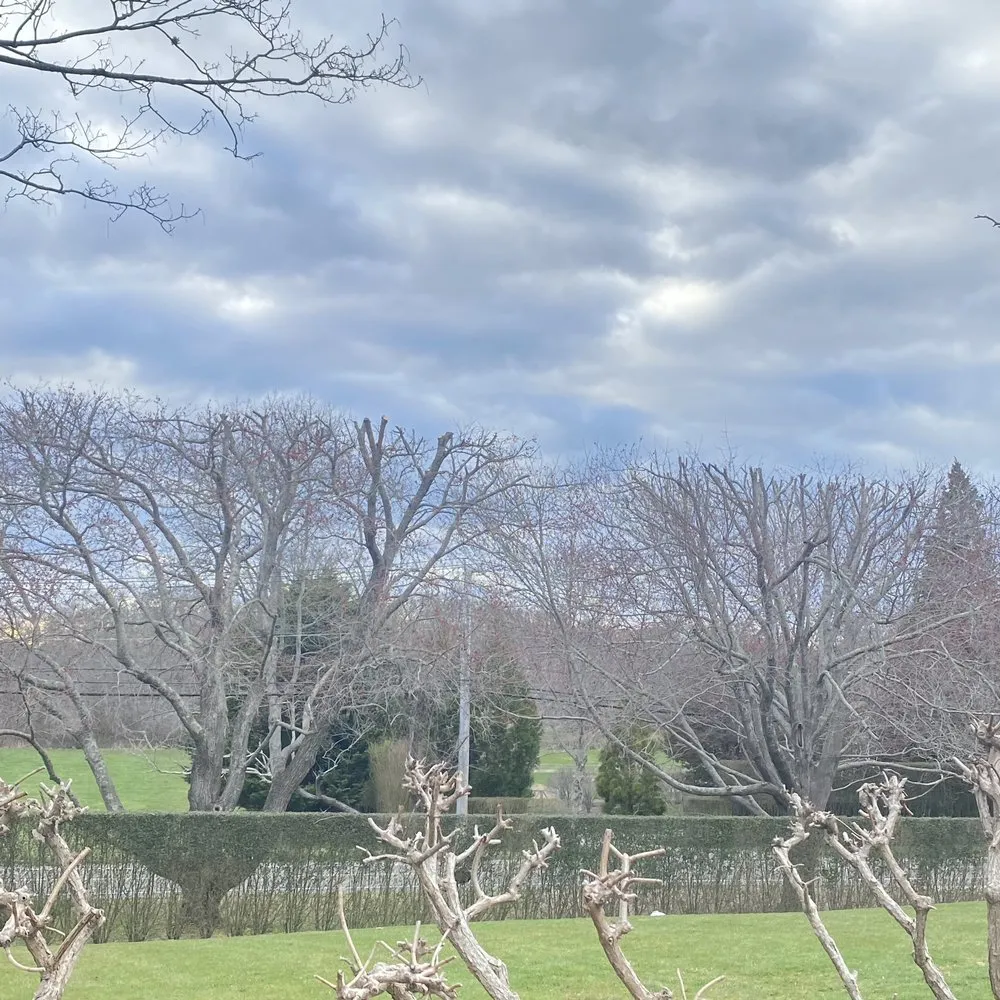 Trusted garden landscaping with custom design across Flanders, NY - Francisco Gardening