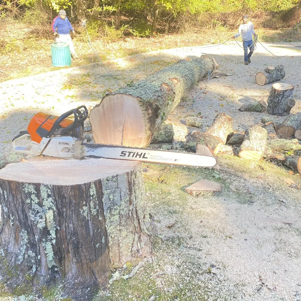 Local lawn care service with custom design across Flanders, NY - Francisco Gardening