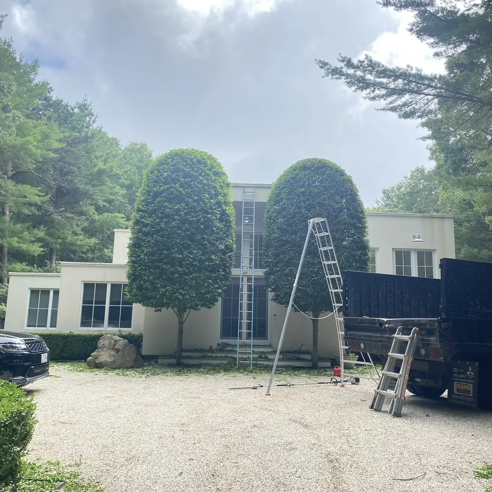 Reliable lawn mowing service in Flanders, NY by Francisco Gardening