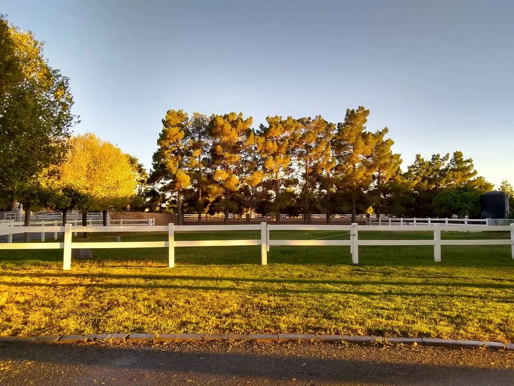 Custom residential landscaping in Las Vegas, NV by Francisco Gomez