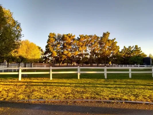 Francisco Gomez Logo