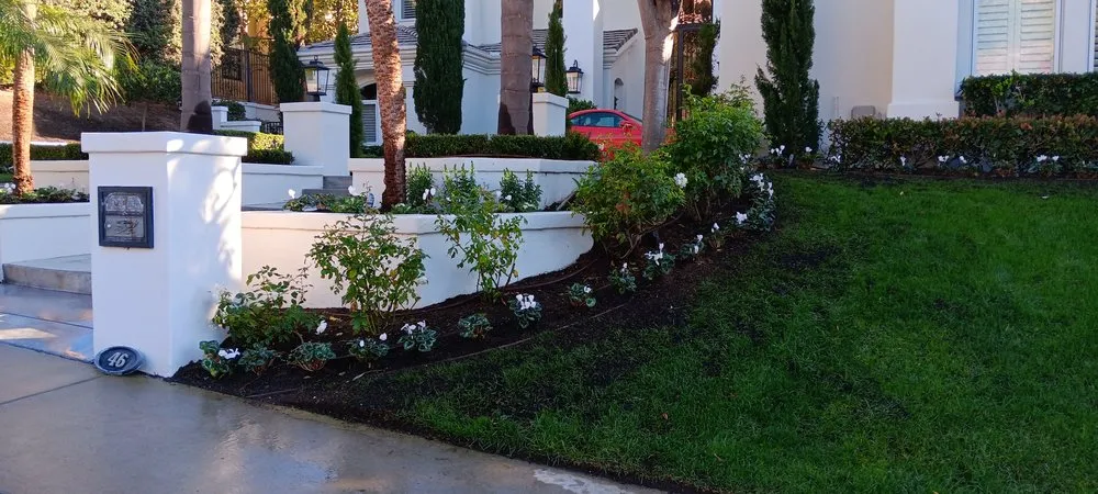 Trusted residential landscaping experts serving Laguna Hills, CA - Francisco Gonzalez Landscape