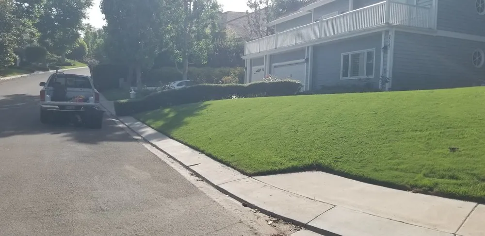 Expert landscape design in Laguna Hills, CA by Francisco Gonzalez Landscape