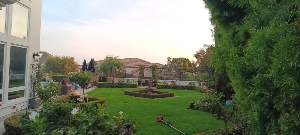 Expert residential landscaping experts serving Laguna Hills, CA - Francisco Gonzalez Landscape
