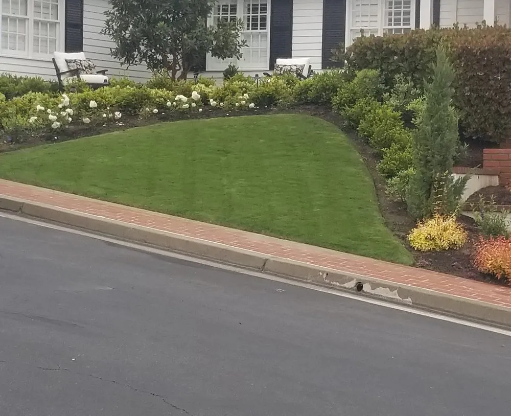 Professional residential landscaping in Laguna Hills, CA - Francisco Gonzalez Landscape