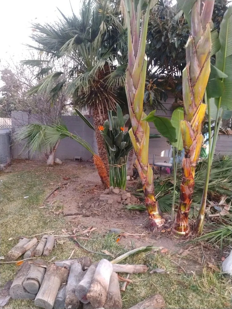 Reliable outdoor landscaping in Laguna Hills, CA - Francisco Gonzalez Landscape