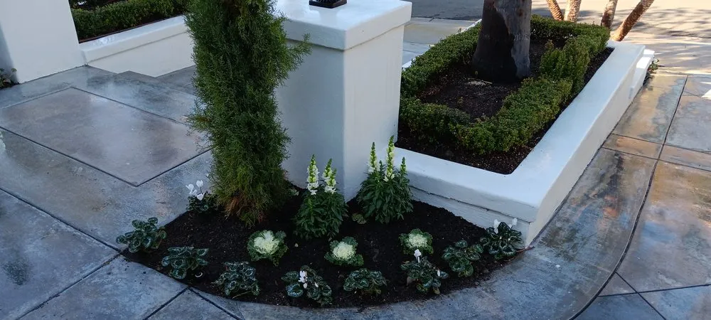 Expert landscaping services in Laguna Hills, CA by Francisco Gonzalez Landscape