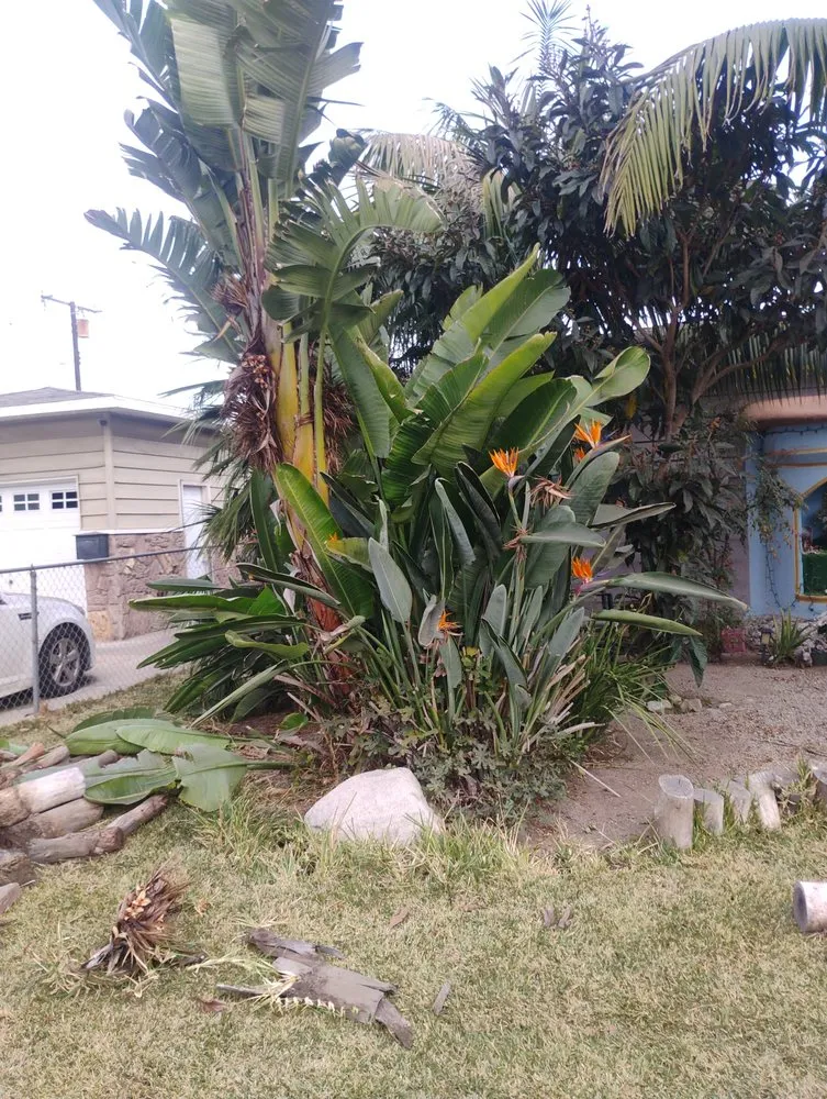 Expert landscape design with custom design in Laguna Hills, CA by Francisco Gonzalez Landscape