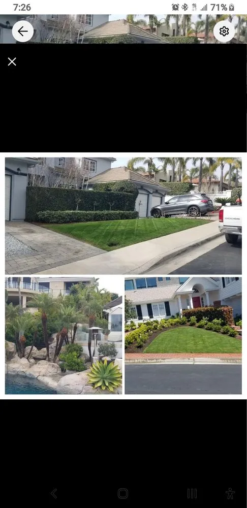 Professional outdoor landscaping in Laguna Hills, CA by Francisco Gonzalez Landscape