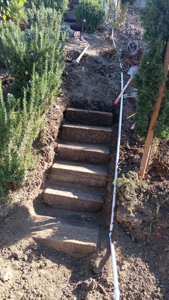 Professional lawn care service in Laguna Hills, CA - Francisco Gonzalez Landscape