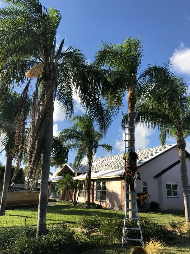 Reliable lawn care service for residential properties in Lake Worth, FL by Francisco Landscape