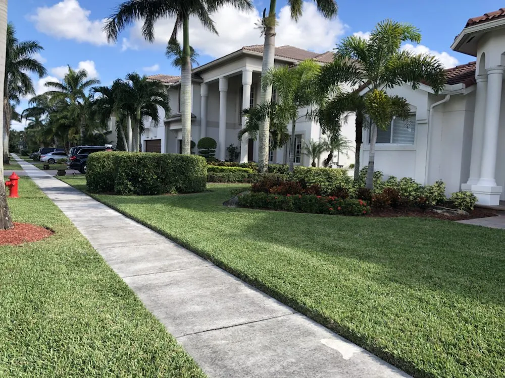 Top-rated yard maintenance in Lake Worth, FL - Francisco Landscape