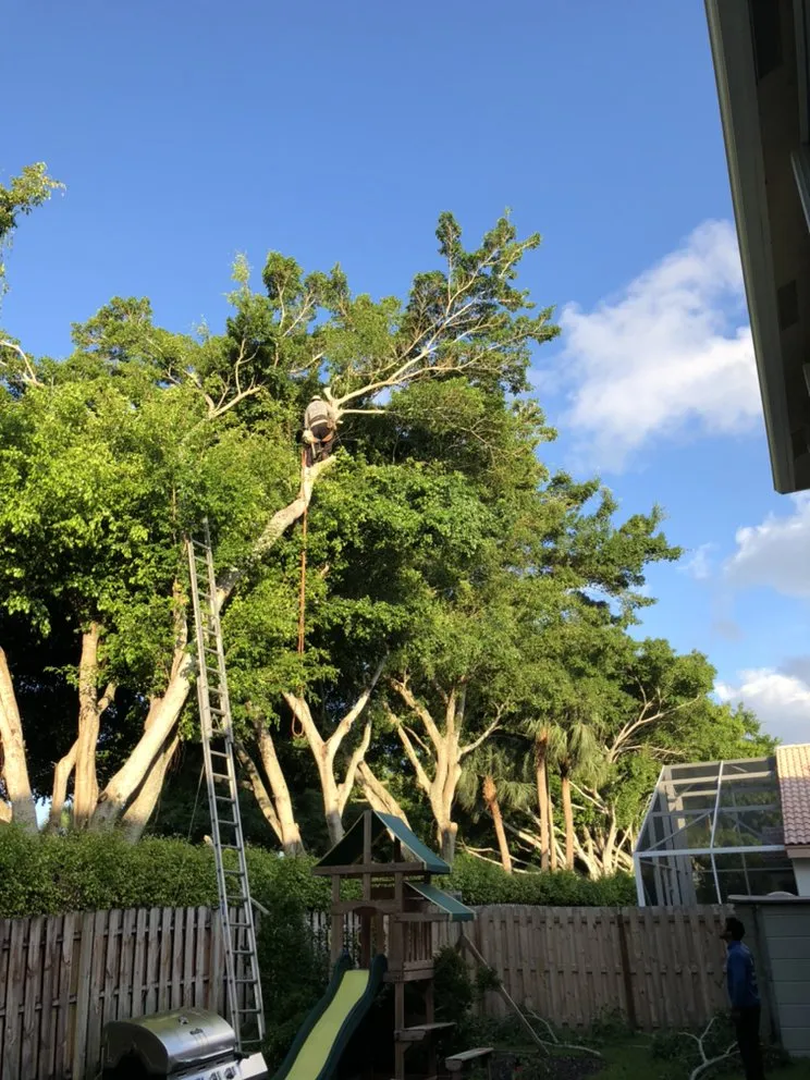 Affordable yard cleanup service experts serving Lake Worth, FL - Francisco Landscape