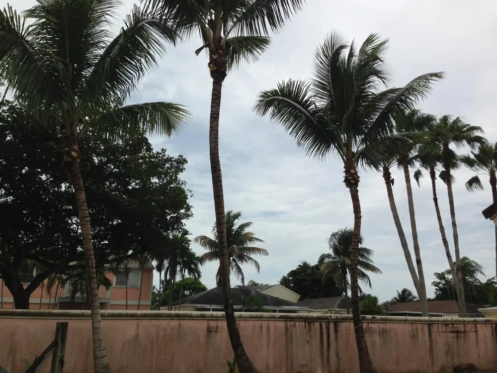 Custom residential landscaping for homes across Lake Worth, FL - Francisco Landscape