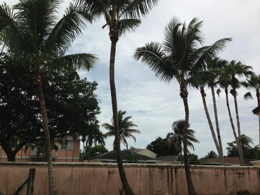 Custom residential landscaping in Lake Worth, FL by Francisco Landscape