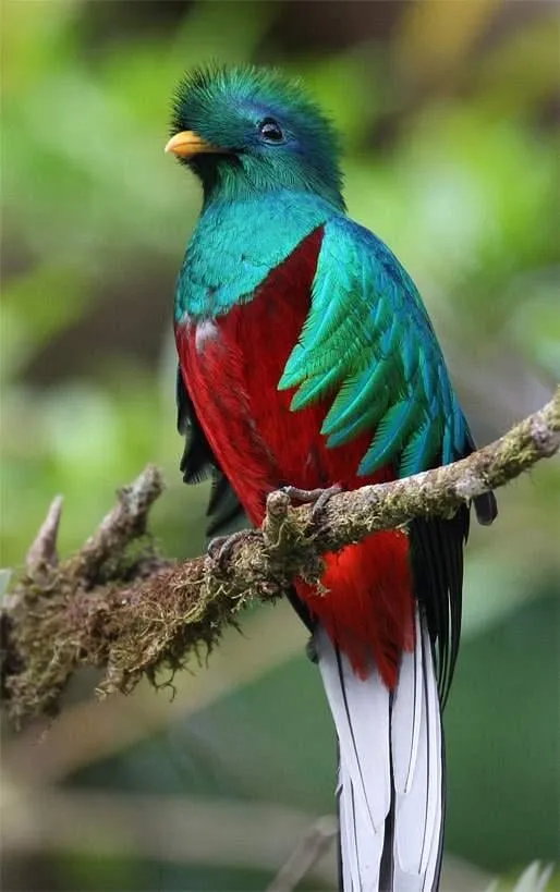 Custom residential landscaping for residential properties across Lake Worth, FL - Francisco Landscape