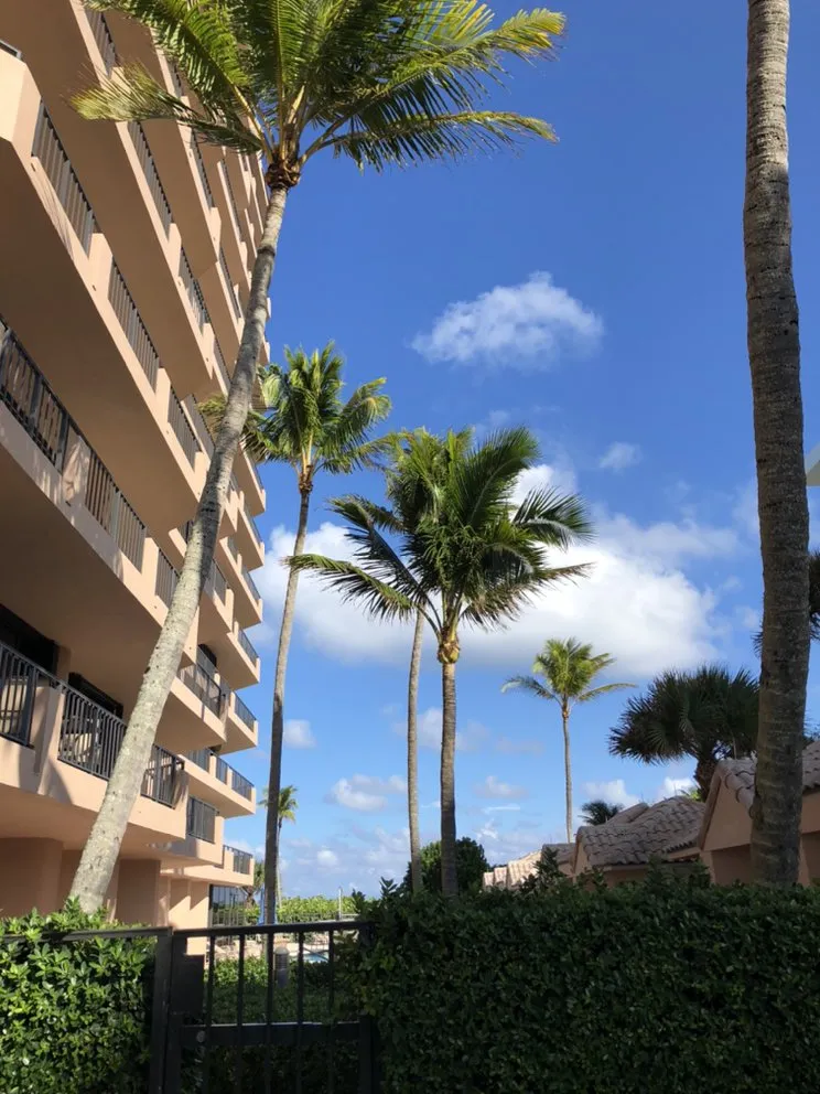 Reliable residential landscaping in Lake Worth, FL by Francisco Landscape