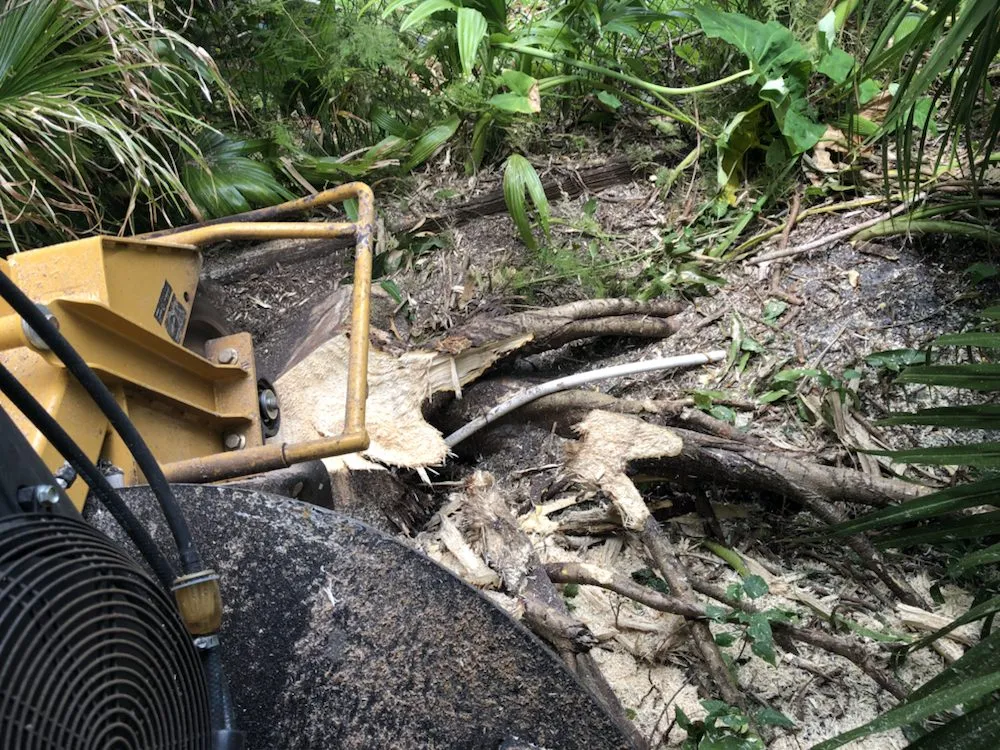 Affordable landscaping services for homes in Lake Worth, FL by Francisco Landscape