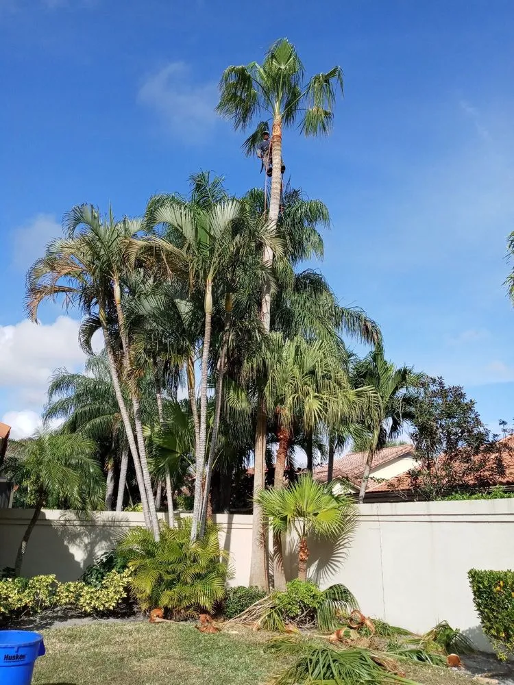Custom yard cleanup service for residential properties across Lake Worth, FL - Francisco Landscape