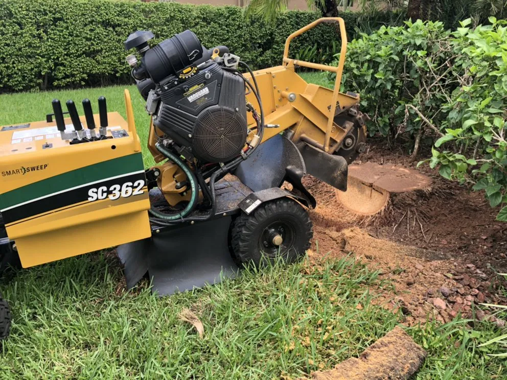 Reliable yard cleanup service in Lake Worth, FL by Francisco Landscape