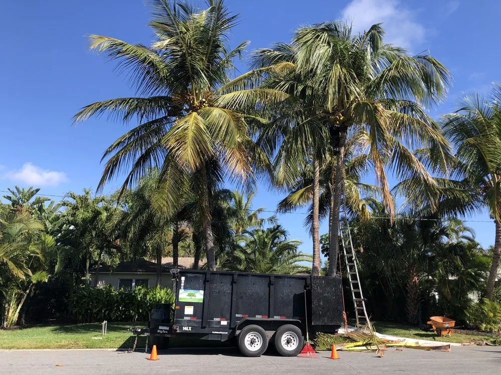 Affordable yard cleanup service experts serving Lake Worth, FL - Francisco Landscape