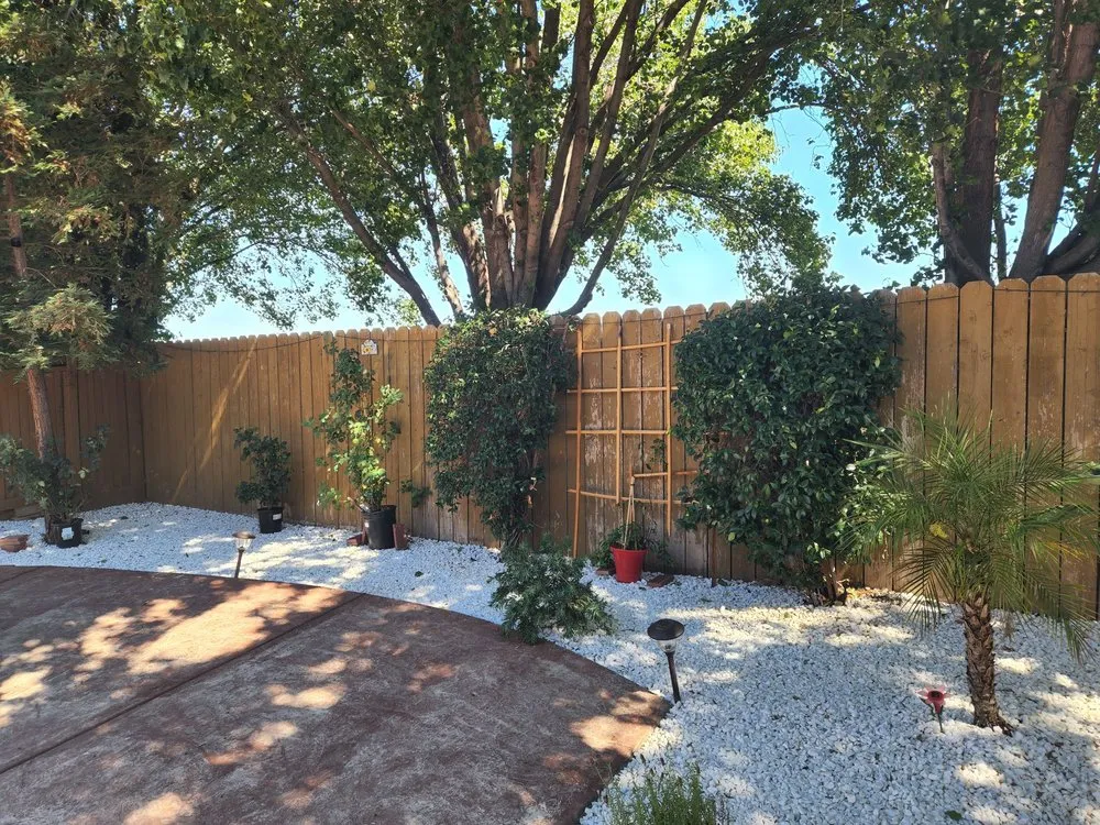 Expert yard cleanup service for outdoor upgrades across Manteca, CA - Francisco Landscape
