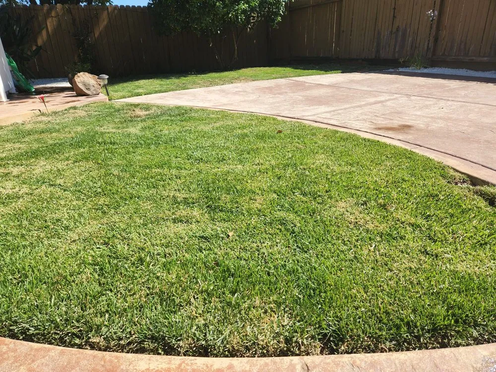 Expert landscaping services in Manteca, CA - Francisco Landscape