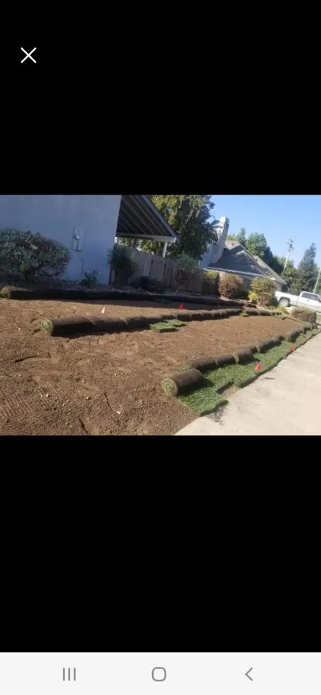 Affordable yard cleanup service experts serving Manteca, CA - Francisco Landscape