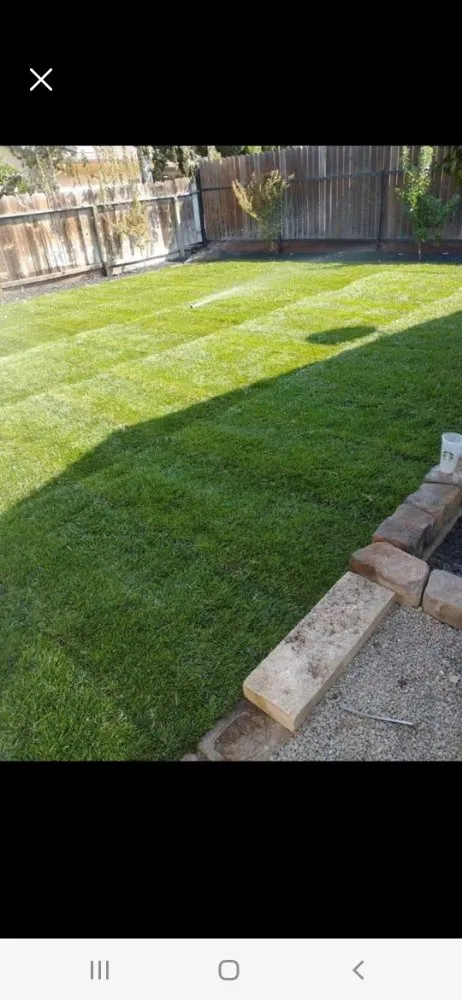Custom lawn mowing service in Manteca, CA by Francisco Landscape