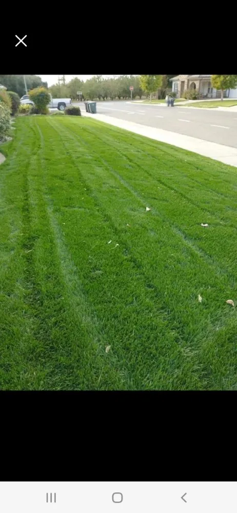 Top-rated yard maintenance with custom design in Manteca, CA by Francisco Landscape