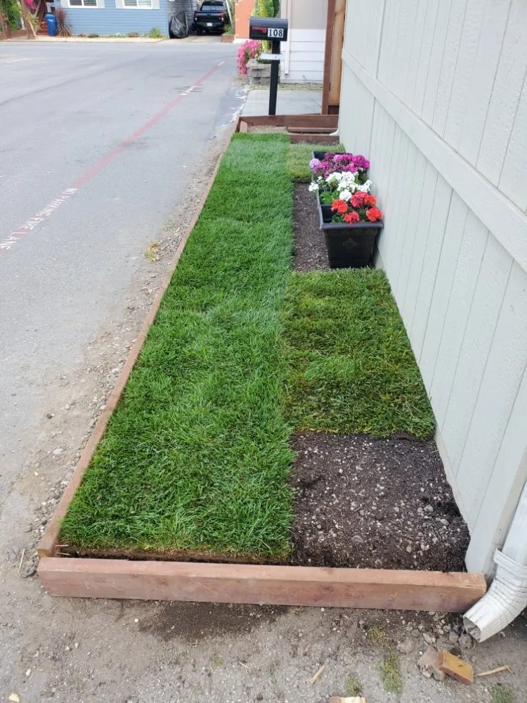 Affordable yard cleanup service experts serving Watsonville, CA - Francisco Landscape