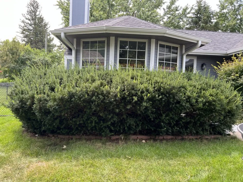 Trusted landscape installation in Ames, IA by Francisco Landscapes