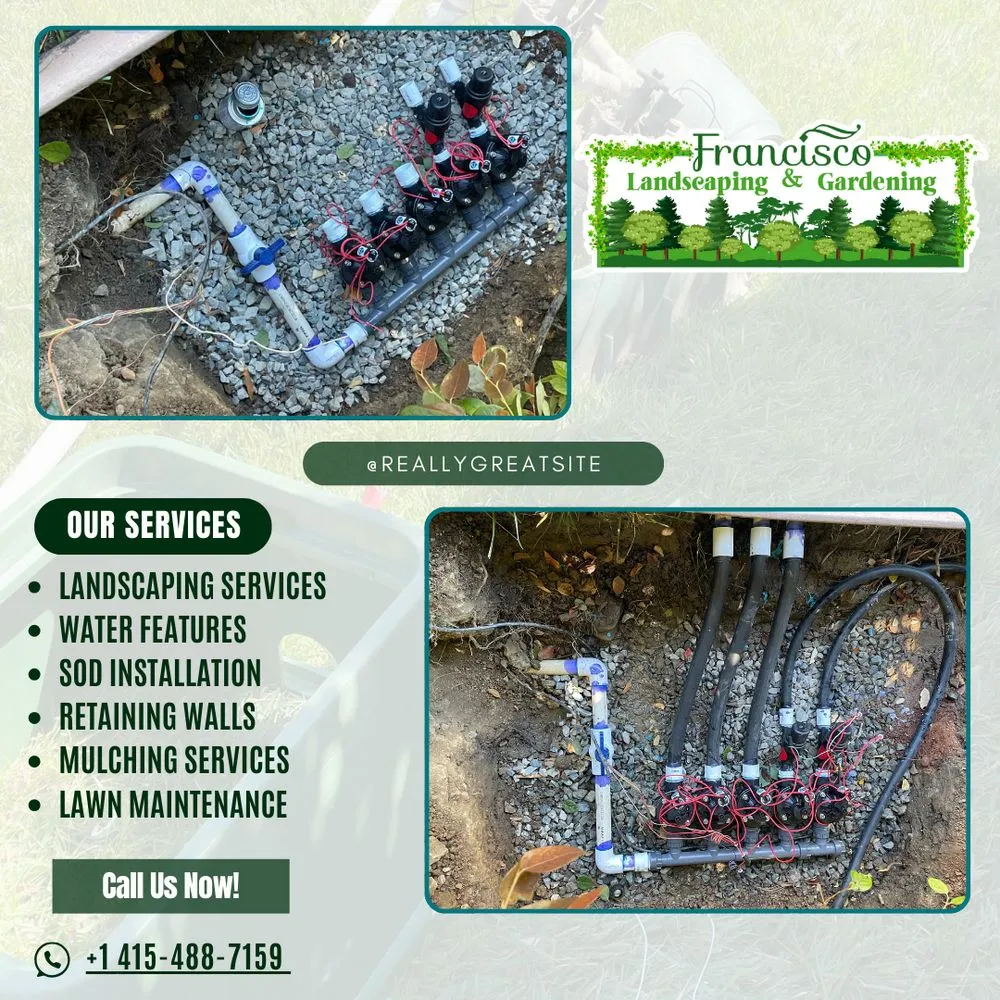 Local garden landscaping for year-round maintenance in Richmond, CA by Francisco Landscaping & Gardening