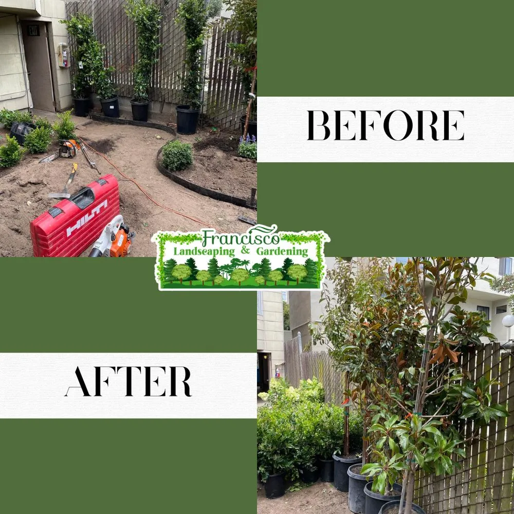 Top-rated landscape design in Richmond, CA - Francisco Landscaping & Gardening