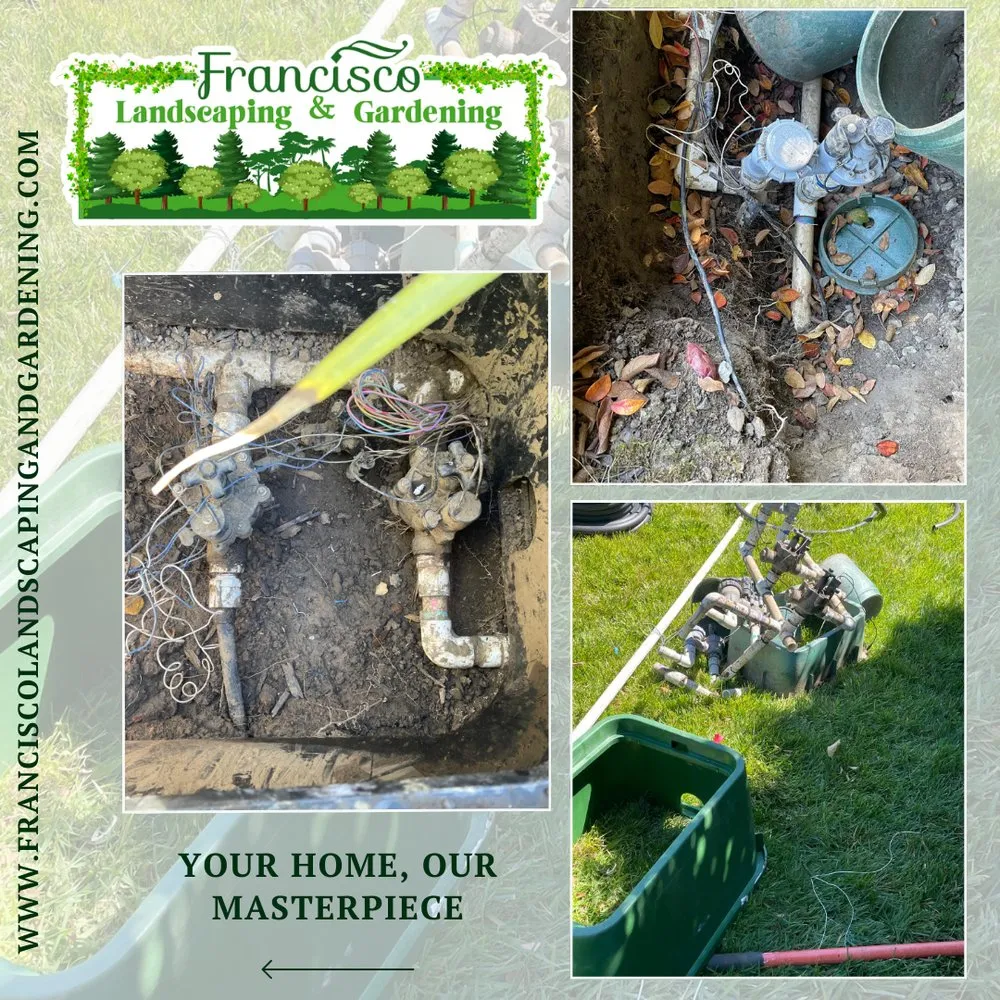 Custom residential landscaping experts serving Richmond, CA - Francisco Landscaping & Gardening