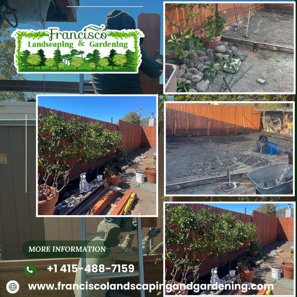 Local garden landscaping in Richmond, CA by Francisco Landscaping & Gardening