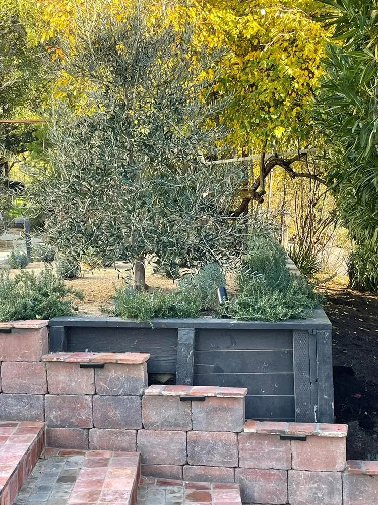 Trusted yard cleanup service for outdoor upgrades in Richmond, CA by Francisco Landscaping & Gardening