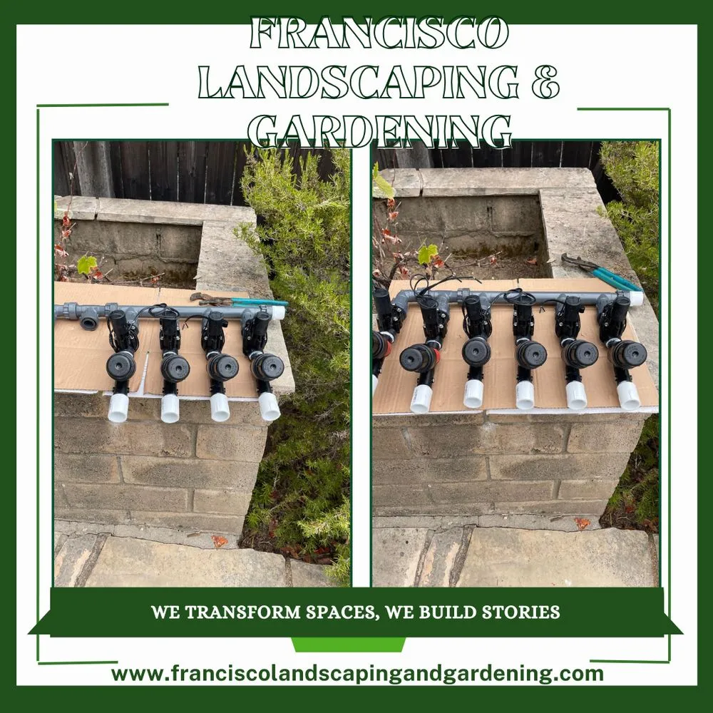 Affordable landscaping services experts serving Richmond, CA - Francisco Landscaping & Gardening