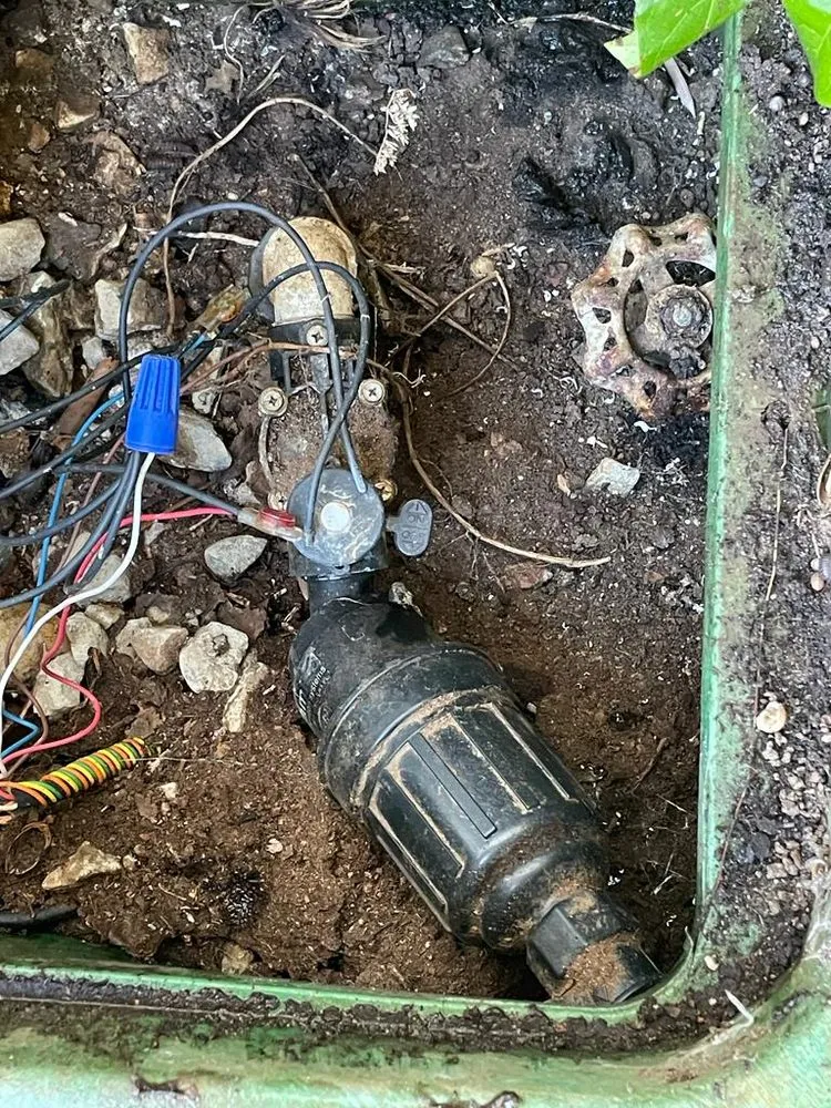 Reliable residential landscaping for outdoor upgrades across Richmond, CA - Francisco Landscaping & Gardening