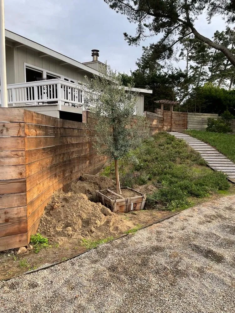 Reliable yard cleanup service for year-round maintenance in Richmond, CA by Francisco Landscaping & Gardening
